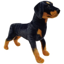 ROTTWEILER 64CM RW64D
